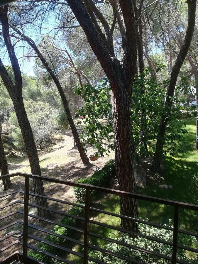 El Mirador De Bacha Apartment ซาน มาร์่ติน เด วาลเดเกลเซียส ภายนอก รูปภาพ